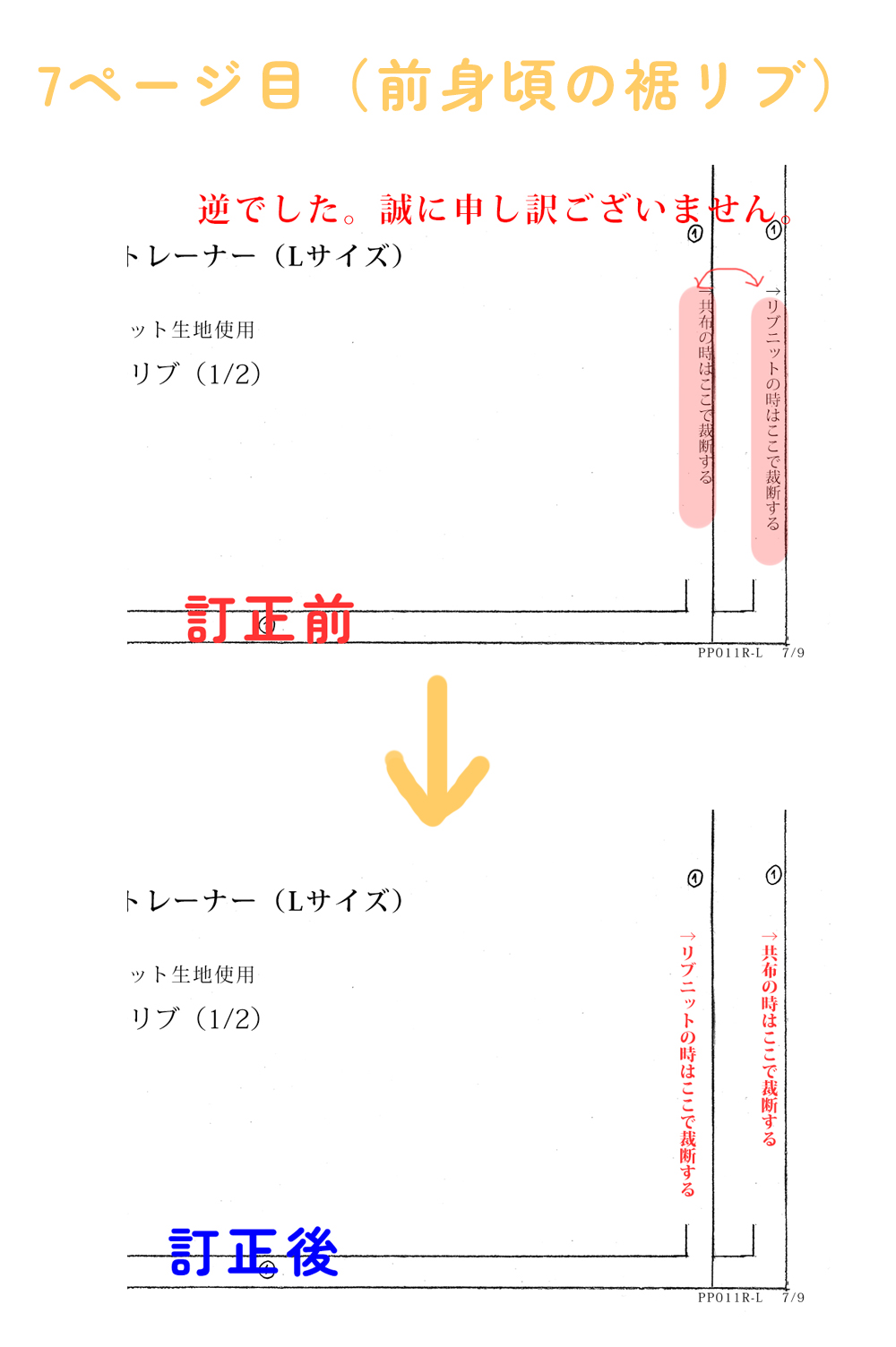 いつもトレーナー