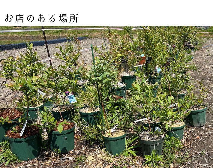 ぬのとくらしとの自己紹介