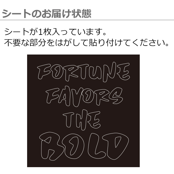 【アイロンシート】FORTUNE
