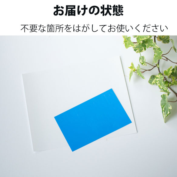 アイロンシート】ティラノサウルス