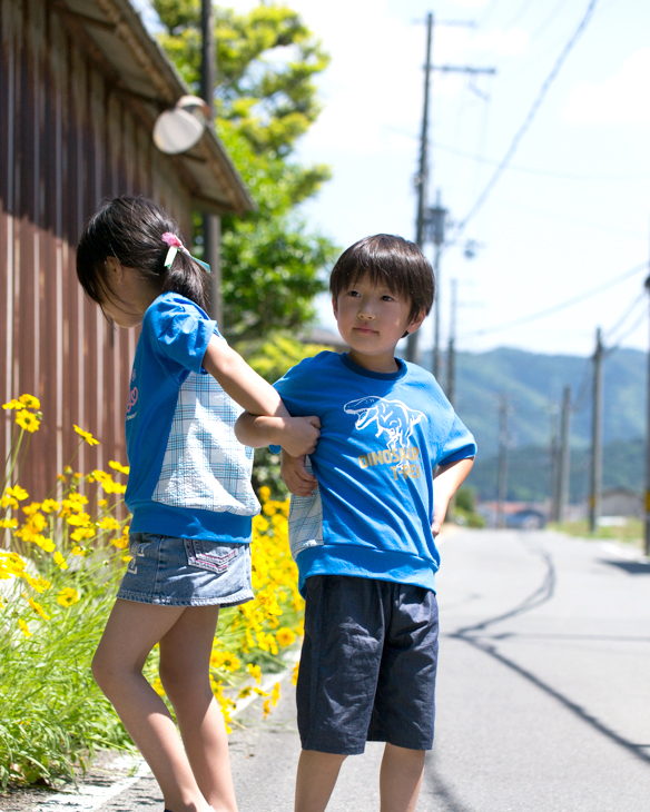 アイロンシート】ティラノサウルス