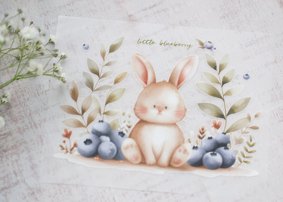 フルカラーアイロンシート（ブルーベリーとうさき/コットンボールとねこ）