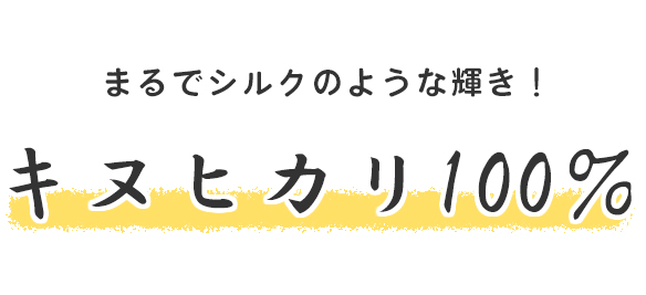 【くらし】おやっさんのお米（2023年度産・新米キヌヒカリ）